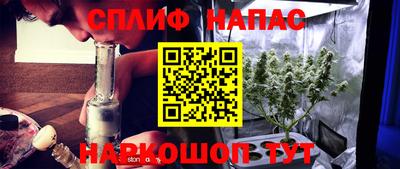 амф Можга