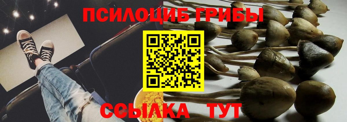 Галлюциногенные грибы Psilocybe  Галлюциногенные грибы MAGIC MUSHROOMS  Первоуральск  Вход с VPN 